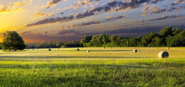Hay Bales at Sunrise