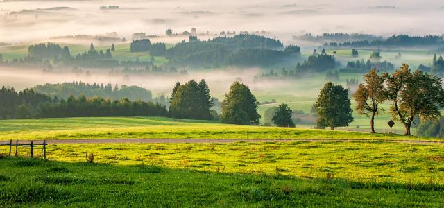 Valley Full of Fog at Sunrise